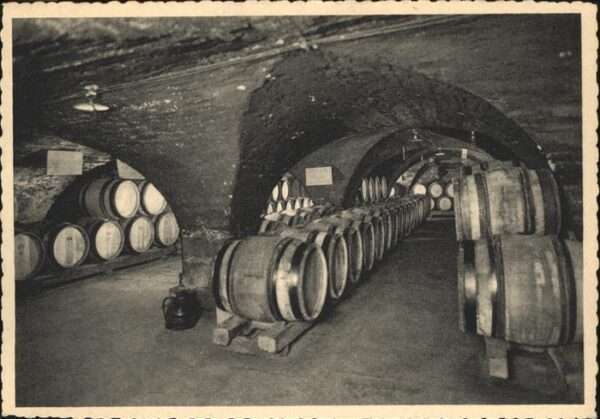Beaune Hotel Dieu Caves