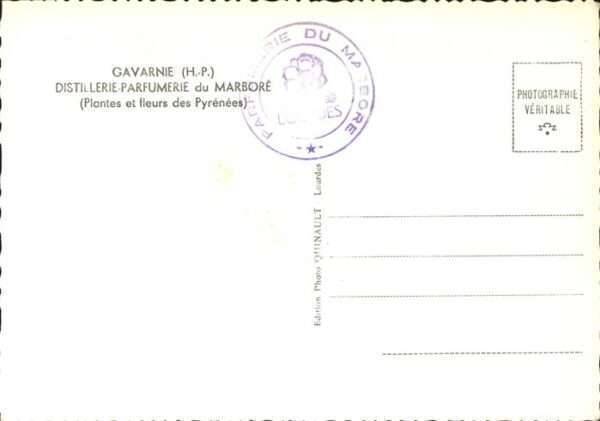 Gavarnie Distillerie Parfumerie Marbore – Bild 2