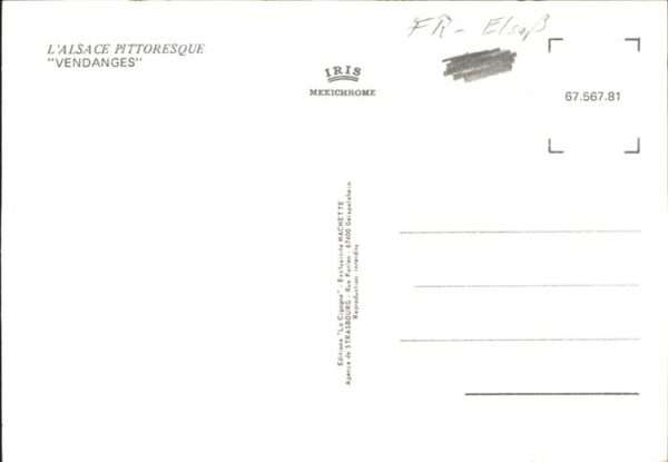 Les Vendanges Kuh – Bild 2
