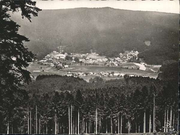 Le Hohwald