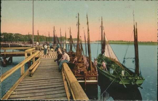 Le Crotoy Bateaux Port