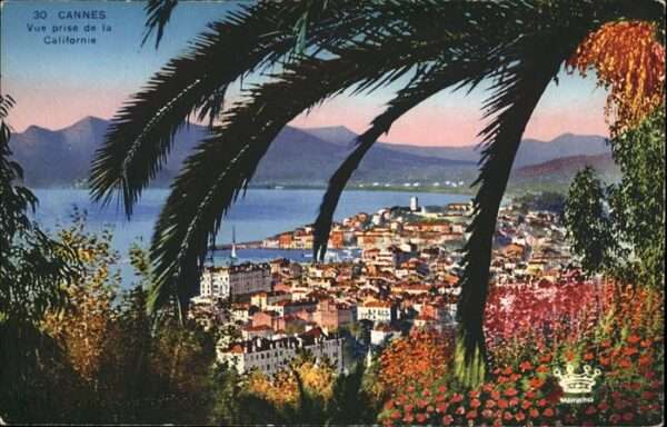 Cannes Alpes-Maritimes