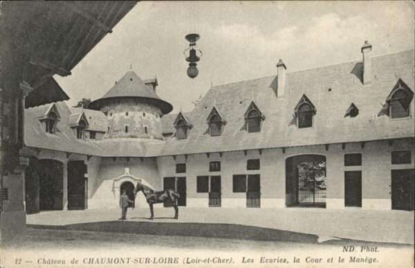 Chaumont-sur-Loire Chateau Les Ecuries Pferd