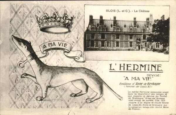 Blois 41 Chateau l_Hermine