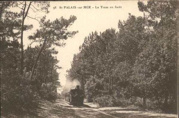 Saint-Palais-sur-Mer Tram foret