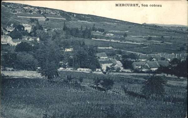 Mercurey Saone et Loire Coteau