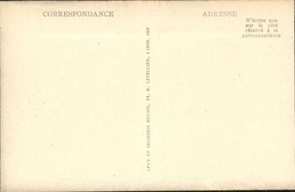Tarbes Esel – Bild 2