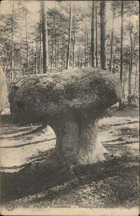 Fontainebleau