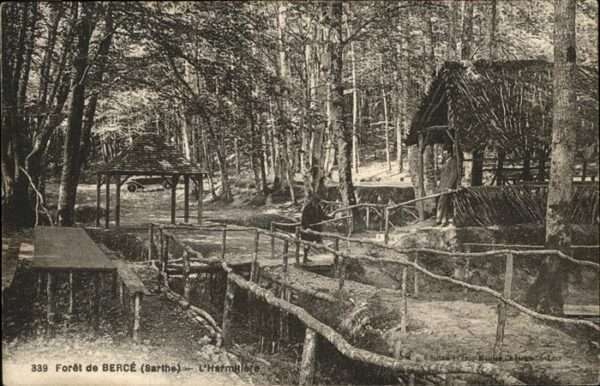 Jupilles Foret de Berce Hermitiere