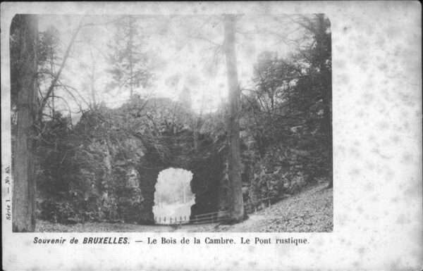 Bruxelles Bruessel Bois Camnre Pont rustique
