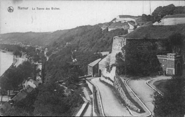 Namur Wallonie Tienne des Biches