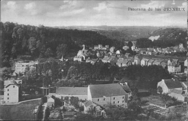 Esneux Panorama