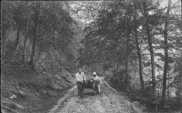 Rochefort Namur Wallonie Paysage au Bois Falizes