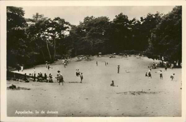 Appelscha In de Duinen