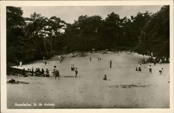 Appelscha Duinen