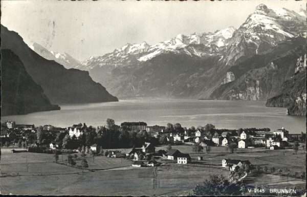 Brunnen SZ