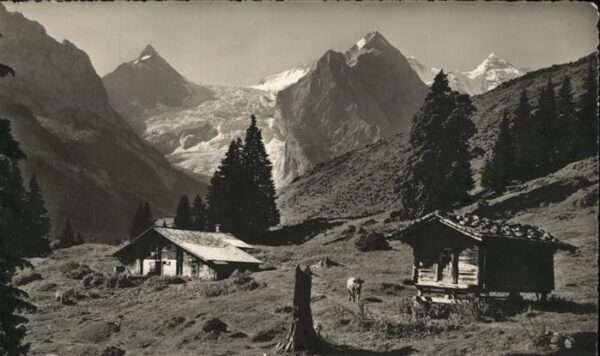 Rosenlaui Kaltenbrunnenalp