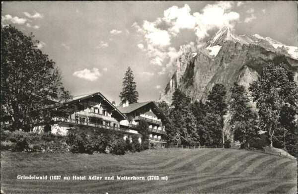 Grindelwald Hotel Adler Wetterhorn
