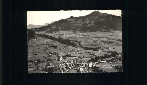 Saanen Fliegeraufnahme