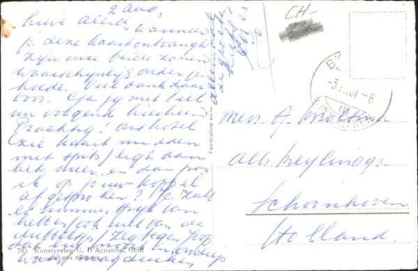 Boenigen Interlaken Schwan – Bild 2