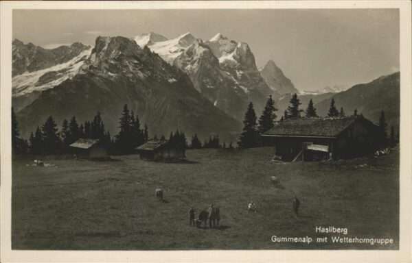 Hasliberg Gummenalp Wetterhorngruppe Kühe