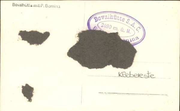 Bovalhuette – Bild 2