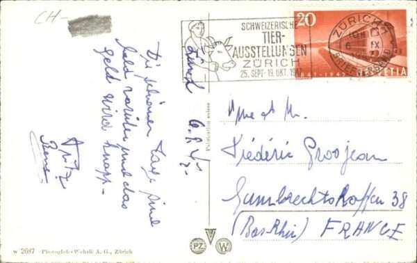 Zuerich Schiff – Bild 2