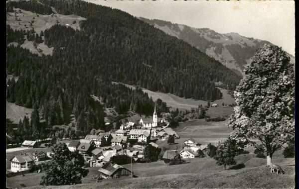 Fluehli Kuh