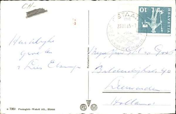Saanen Gifferhorn Wasserngrat – Bild 2