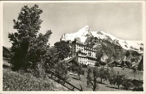 Grindelwald Hotel Belvedere