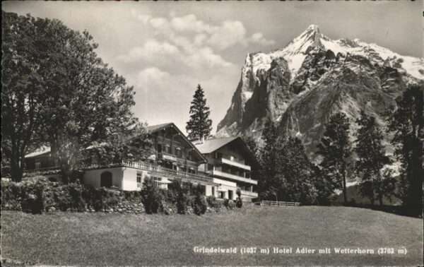 Grindelwald Hotel Adler Wetterhorn