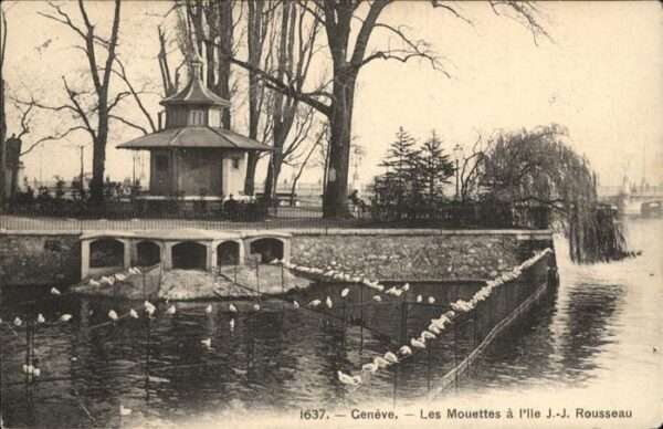 Geneve GE Mouettes