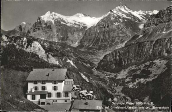 Schynige Platte Grindelwald Wetterhorn Schreckhorn