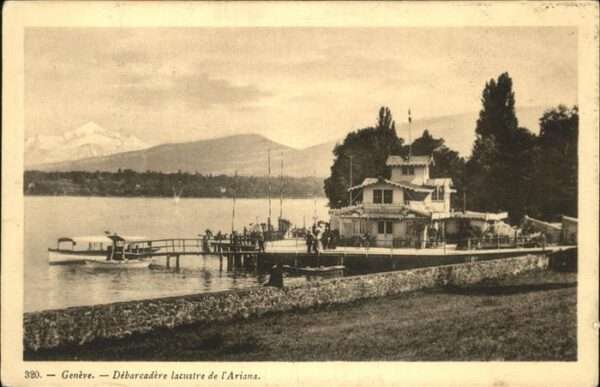 Geneve GE Boot