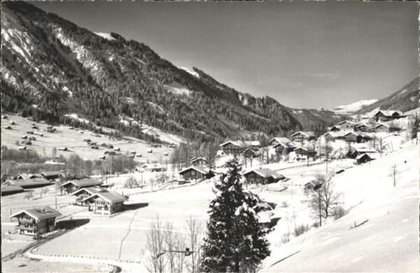 Lenk Simmental Chaletgruppe