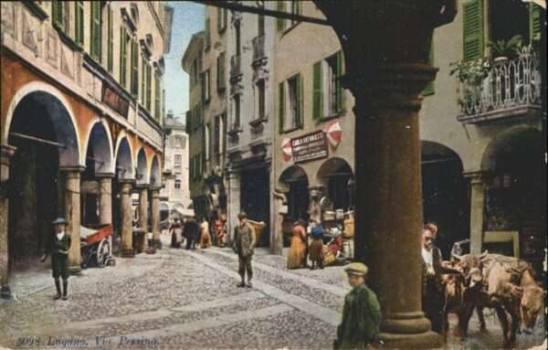 Lugano TI Kühe
