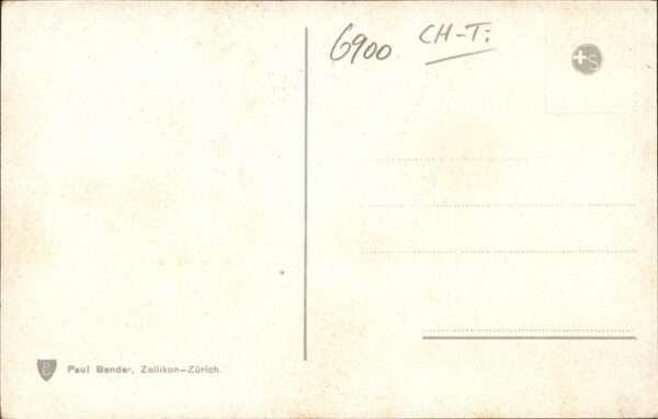 Lugano TI Kühe – Bild 2