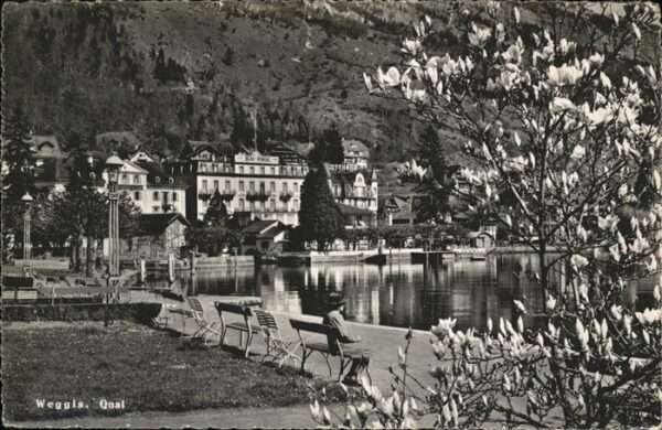 Weggis Vierwaldstaettersee Quai