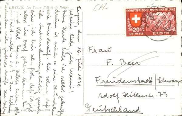 Leysin Hund – Bild 2