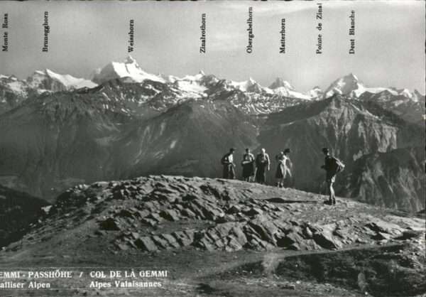 Gemmipass Wallis
