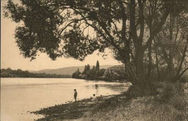 Basel BS Rhein Idyll