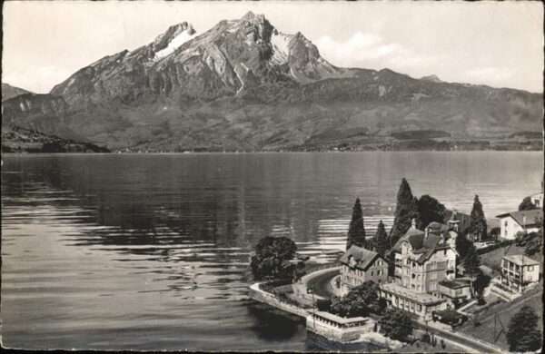 Weggis Vierwaldstaettersee Hotel Felsberg