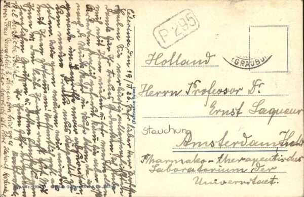 Fextal – Bild 2