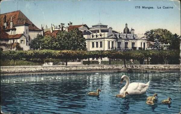 Morges Casino Schwan