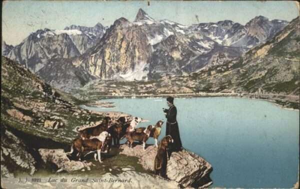 Grand Saint Bernard Hund
