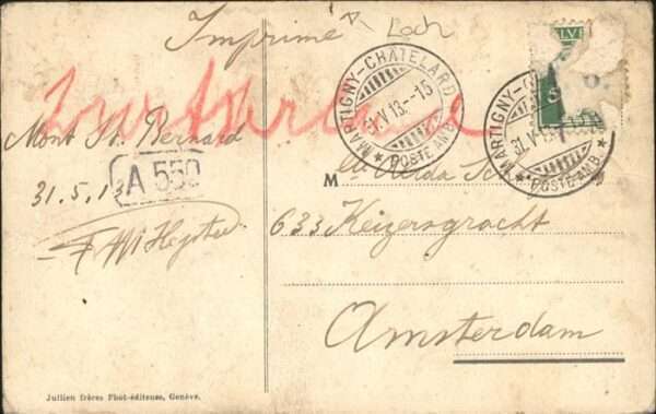 Grand Saint Bernard Hund – Bild 2