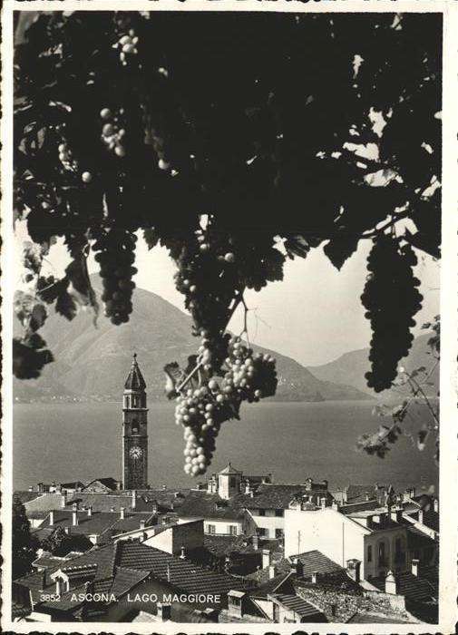 Ascona TI