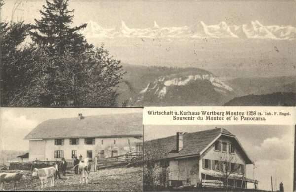 Montoz Kurhaus Wertberg Kühe