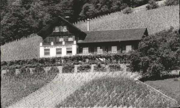 Weiningen ZH Restaurant Winzerhaus