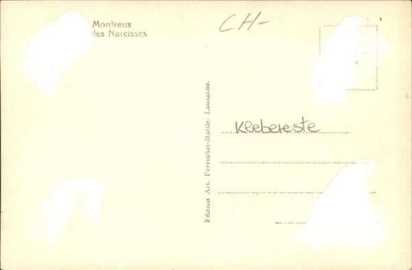 Montreux VD Narcisses – Bild 2